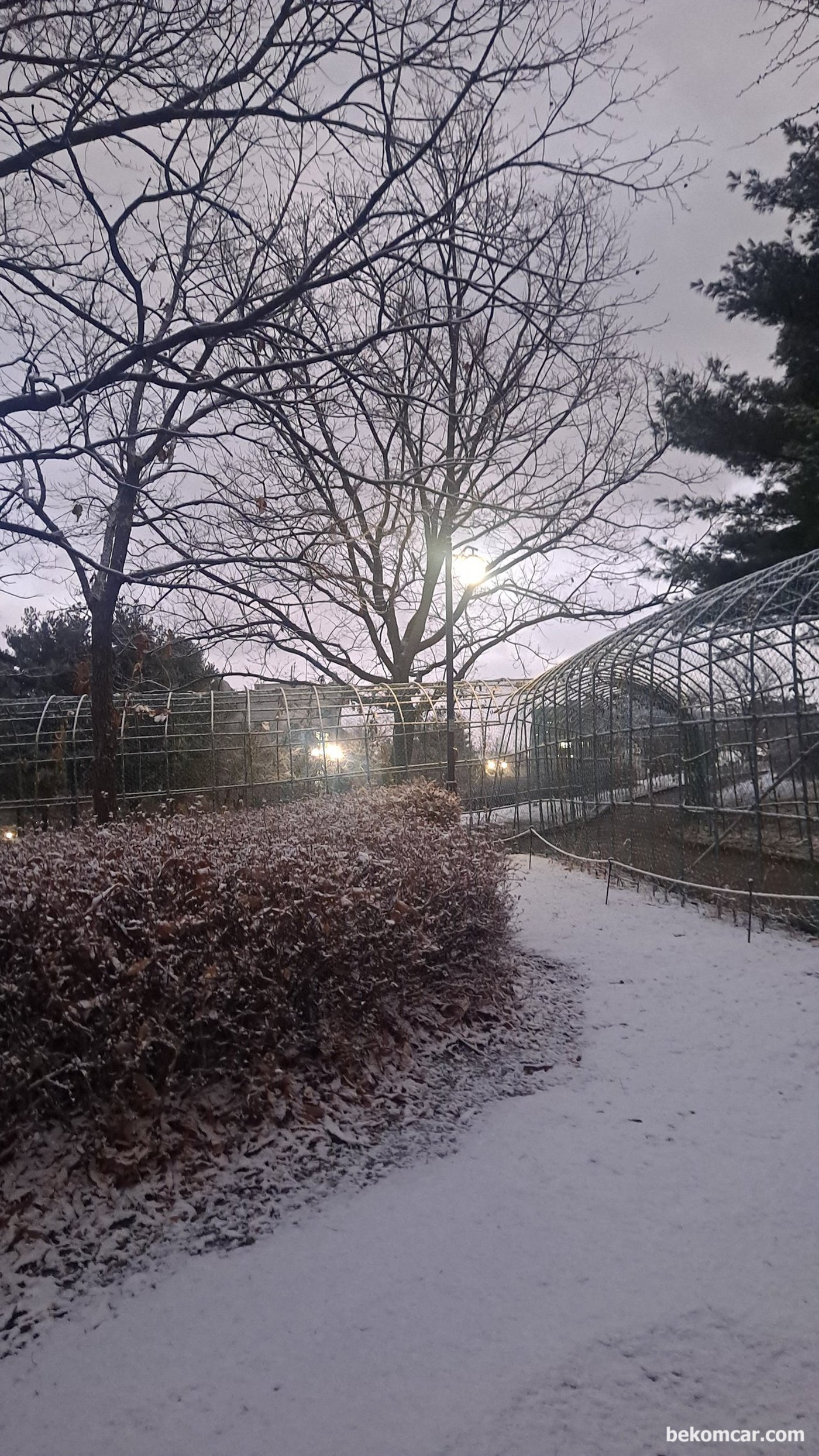 정발산의 눈길|베콤카 차량정밀진단
