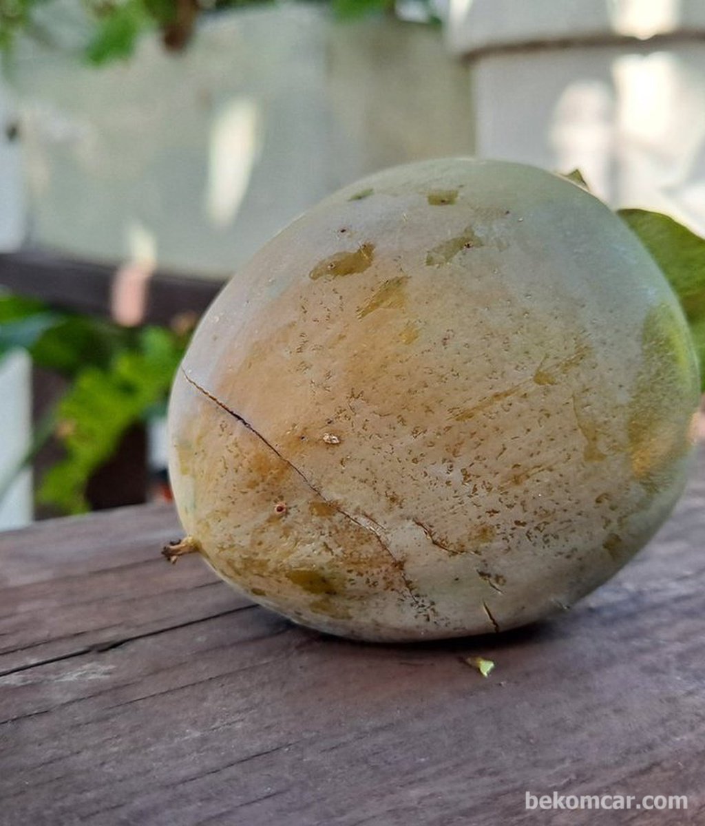 즐겁고 편안한 추석연휴 보내세요|베콤카 차량정밀진단