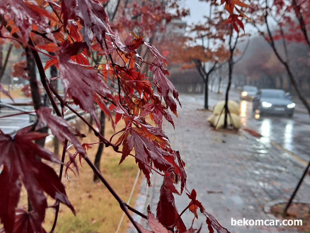 비가오는 어느 11월의 아침 출근길|베콤카 차량정밀진단