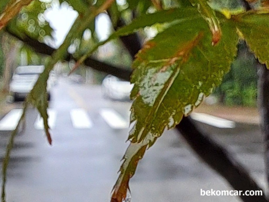 어젯밤에는 비가 내렸다. 가을비이다.|بيكومكار  (bekomcar)