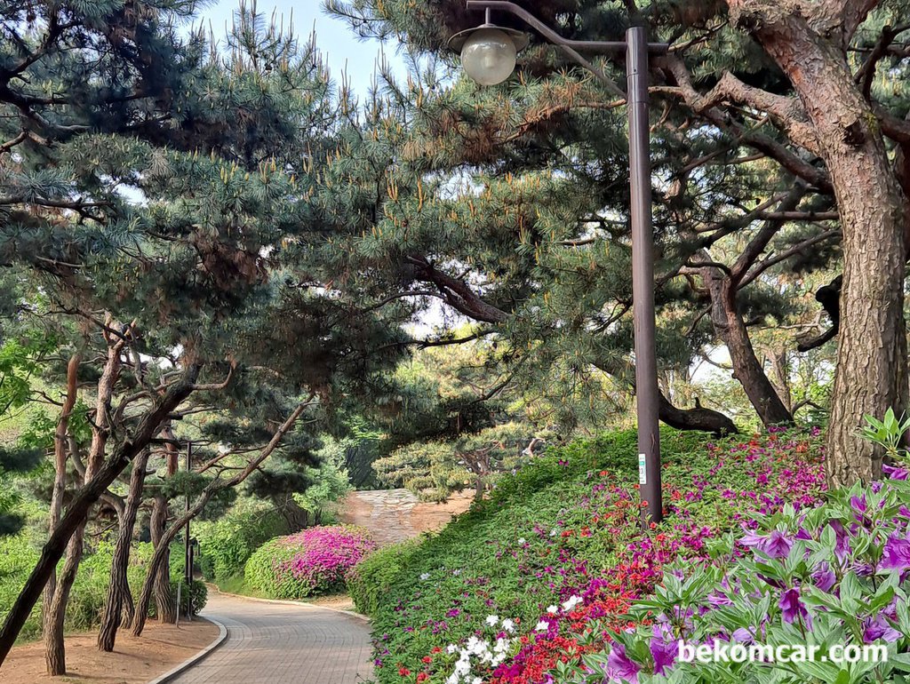 오늘 출근길, 정발산 꼭대기를 넘어서|bekomcar.com