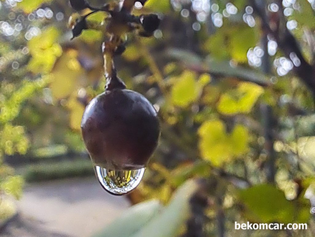 너무나 소중한 일상, 오늘도 즐거운 하루가 되기를|베콤카 차량정밀진단