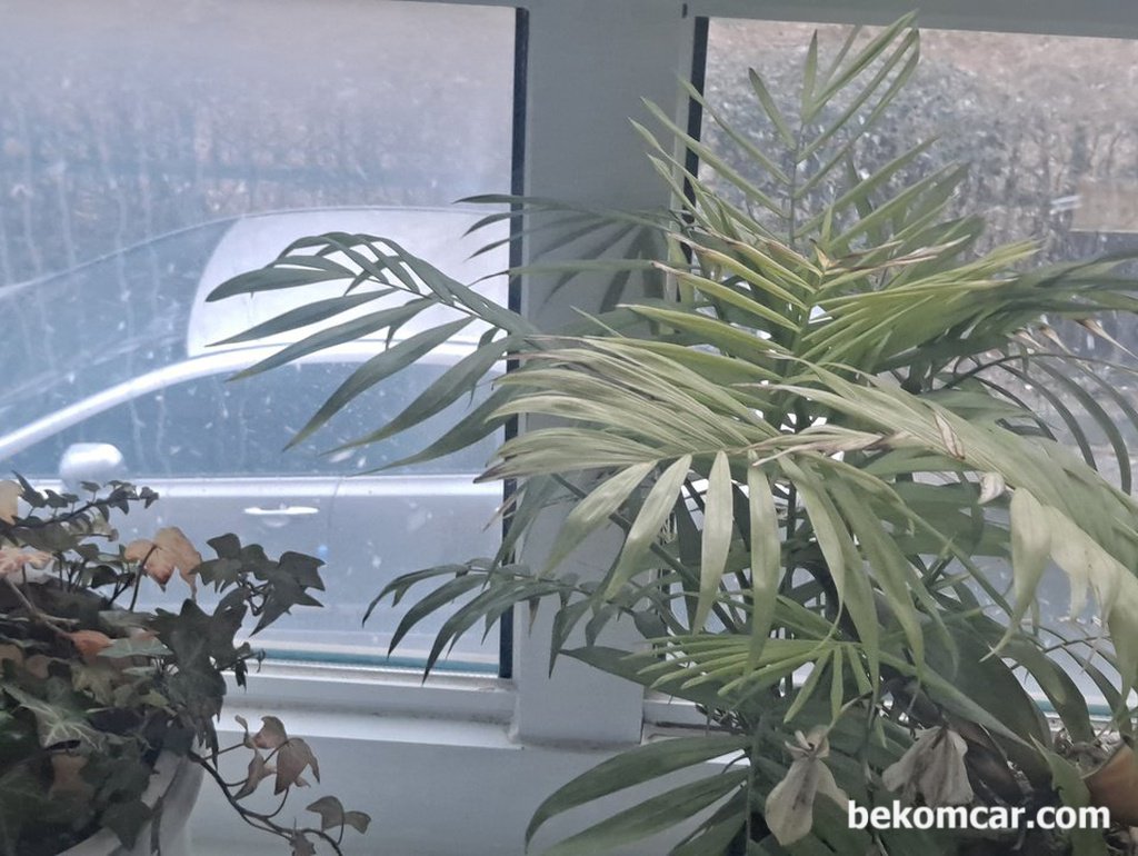 오늘 갑자기 눈이내린다. 창밖으로 라스가 보인다.|بيكومكار  (bekomcar)