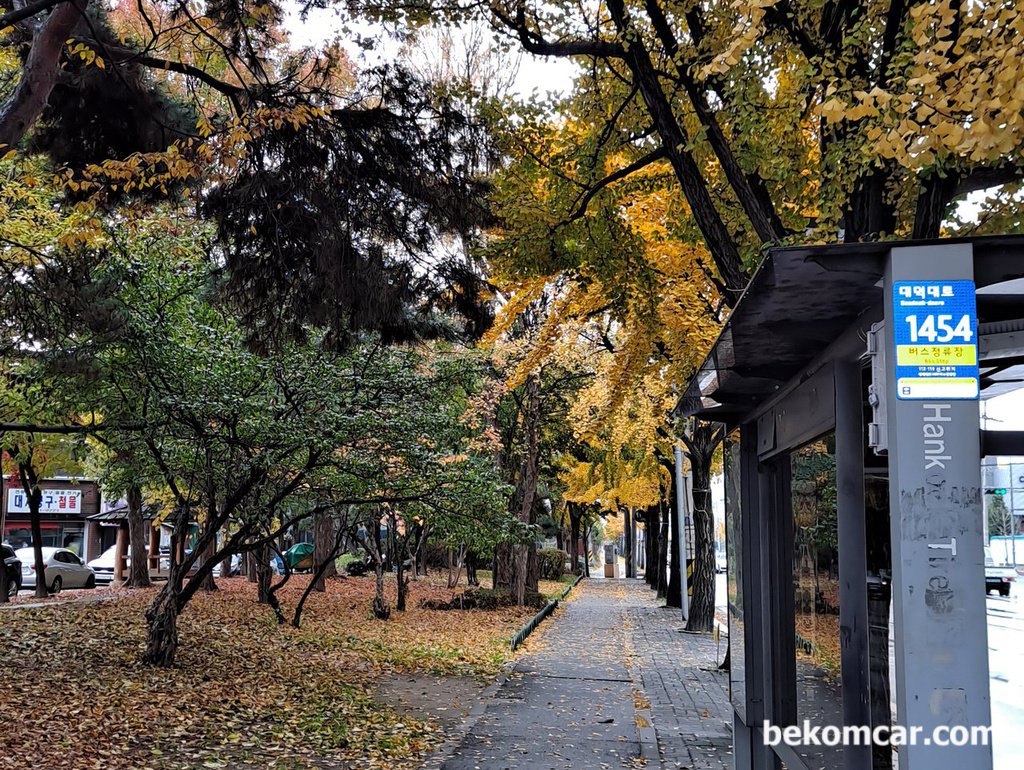 신탄진 어딘가의 초 겨울 거리|بيكومكار  (bekomcar)