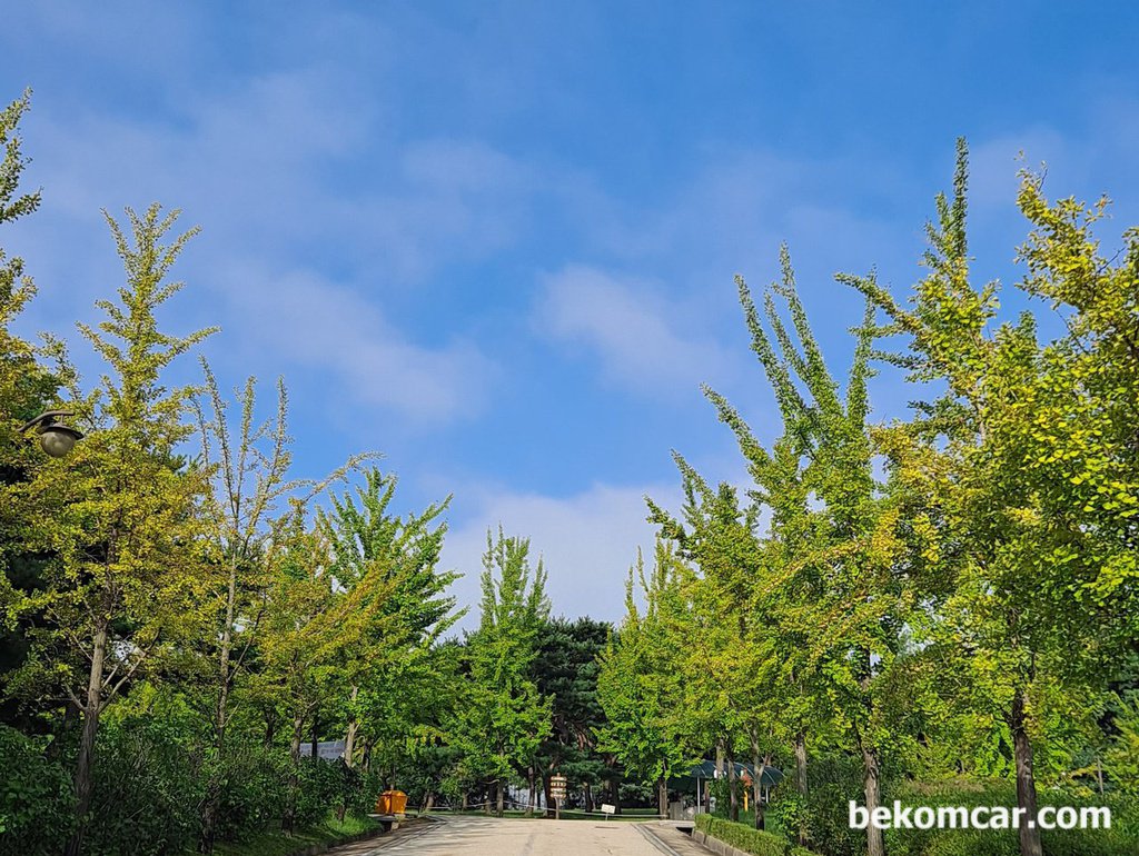 일산 정발산 출근길,가을이 왔음을 느끼는 아침|베콤카 (bekomcar.com)