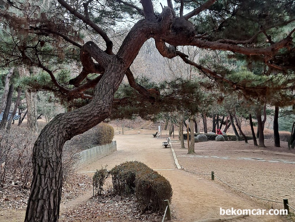 출근길에 찰칵, 항상 경치가 좋은 정발산이다|بيكومكار  (bekomcar)