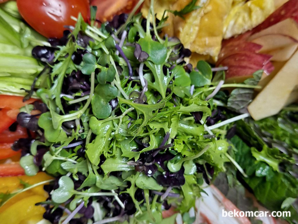 가볍게 맛있는 식사를 하세요. 건강식입니다.|بيكومكار  (bekomcar)