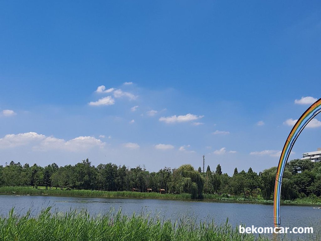 Awesome time at Ilsan Lake Park on a summer day|bekomcar.com
