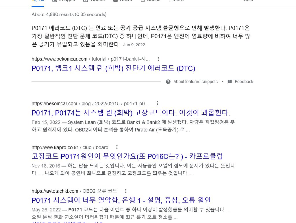 베콤카 구글검색 'P0171 고장코드 분석 검색결과 페이지|ベコムカー (bekomcar)