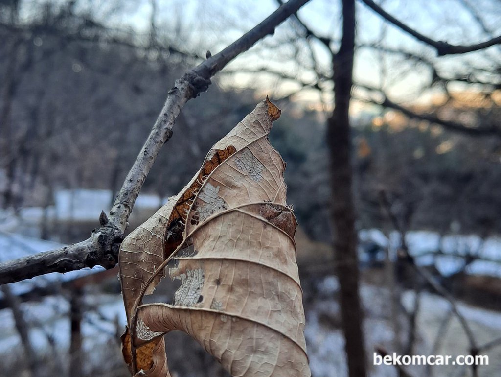 2022.1.18 출근길, 오르락 내리락 인생여정과 비슷하다|بيكومكار  (bekomcar)