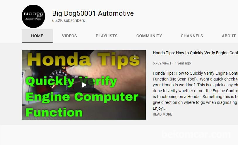 Big Dog50001 Automotive, |베콤카 (bekomcar.com)