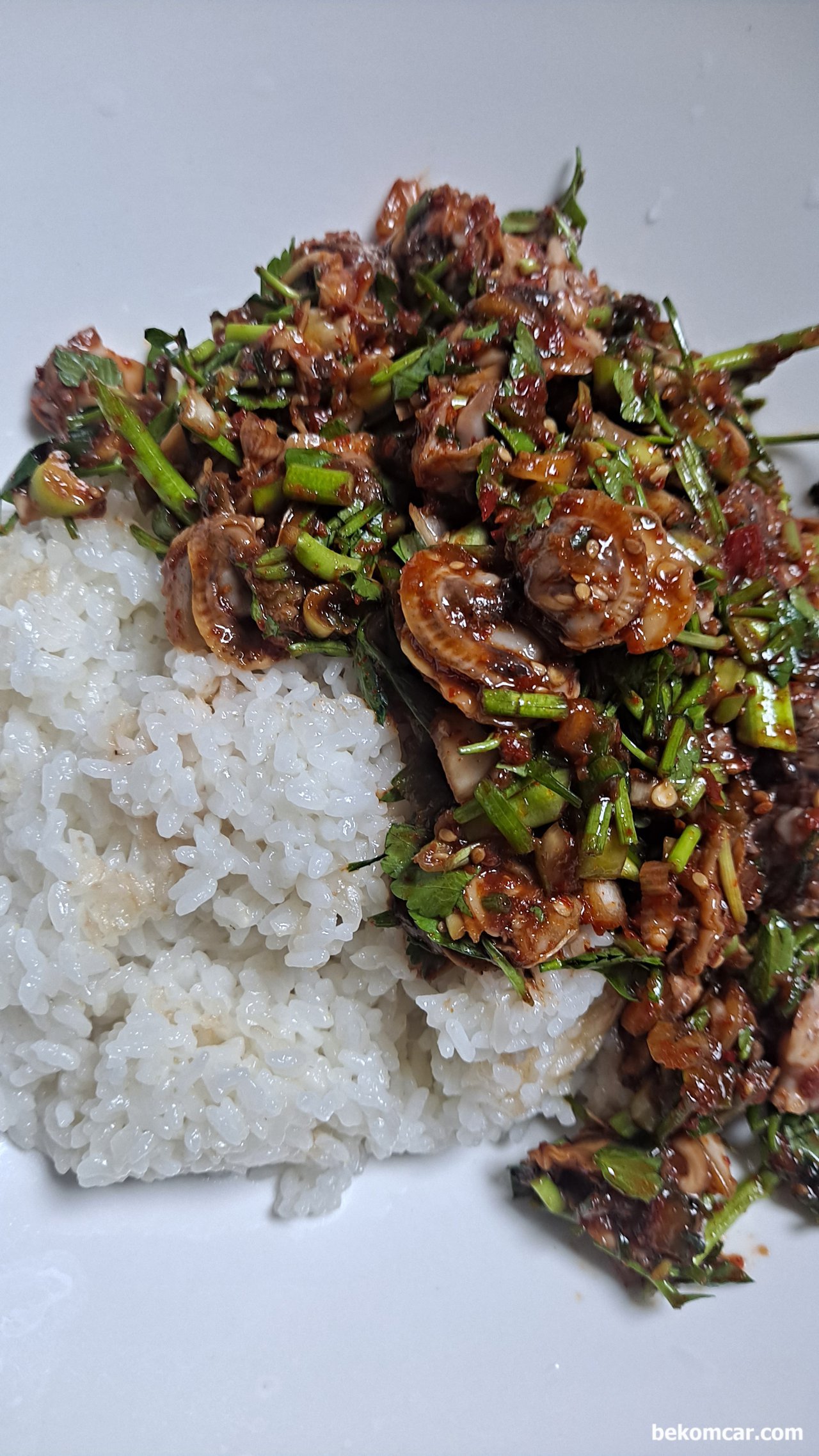저녁식사이다. 꼬막이랑 밥이랑 함께 나오고 국도 있다, 맛있는 꼬막 비빔밥 이다. 별식이다. 고맙게 맛있게 먹을것이다.|bekomcar.com