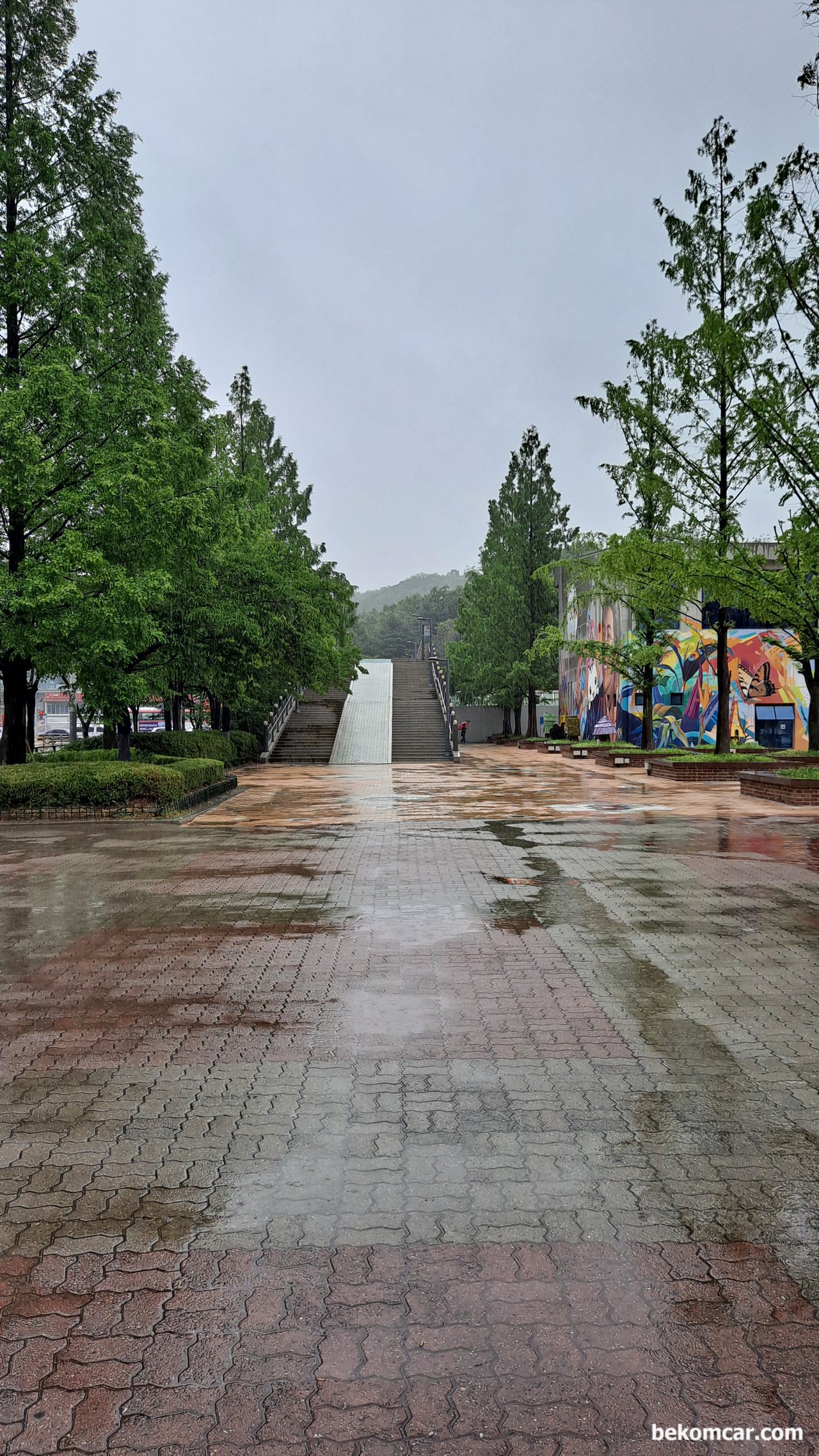 2022년 봄 비 내리는 일산의 거리모습, 2022년 봄 비 내리는 일산의 거리모습, 호수공원 가는 길목이다.|베콤카 차량정밀진단