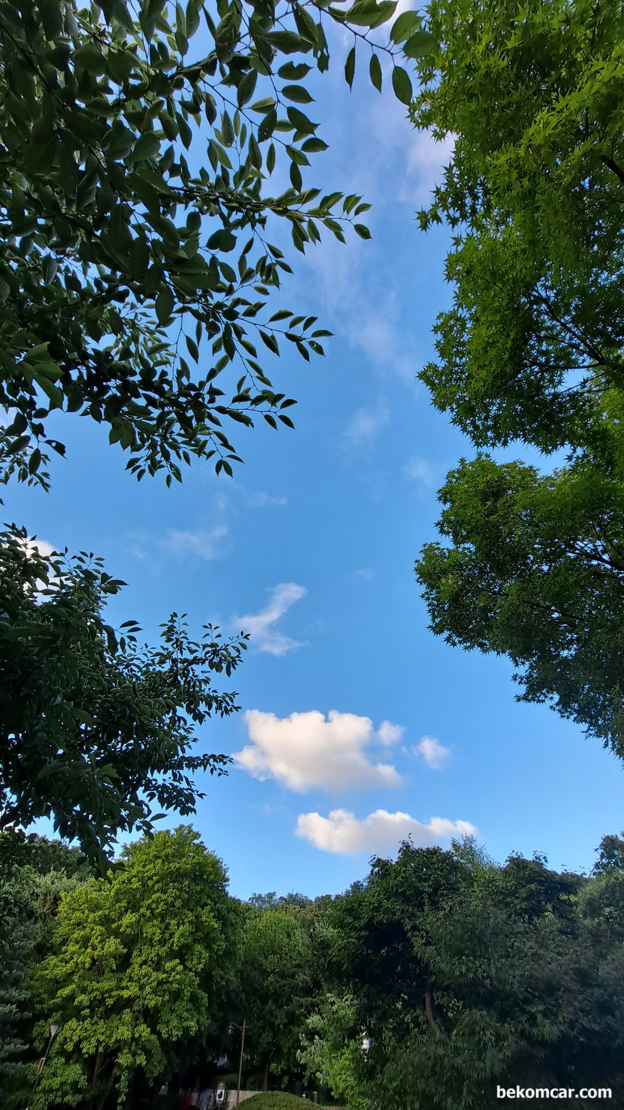 호수공원 조깅하기전, 비가 온 다음에 참 맑은 하늘이다, 호수공원 조깅후 정발산 모습. 비가 온 다음에 참 맑은 하늘이 참 좋다.|بيكومكار (bekomcar)
