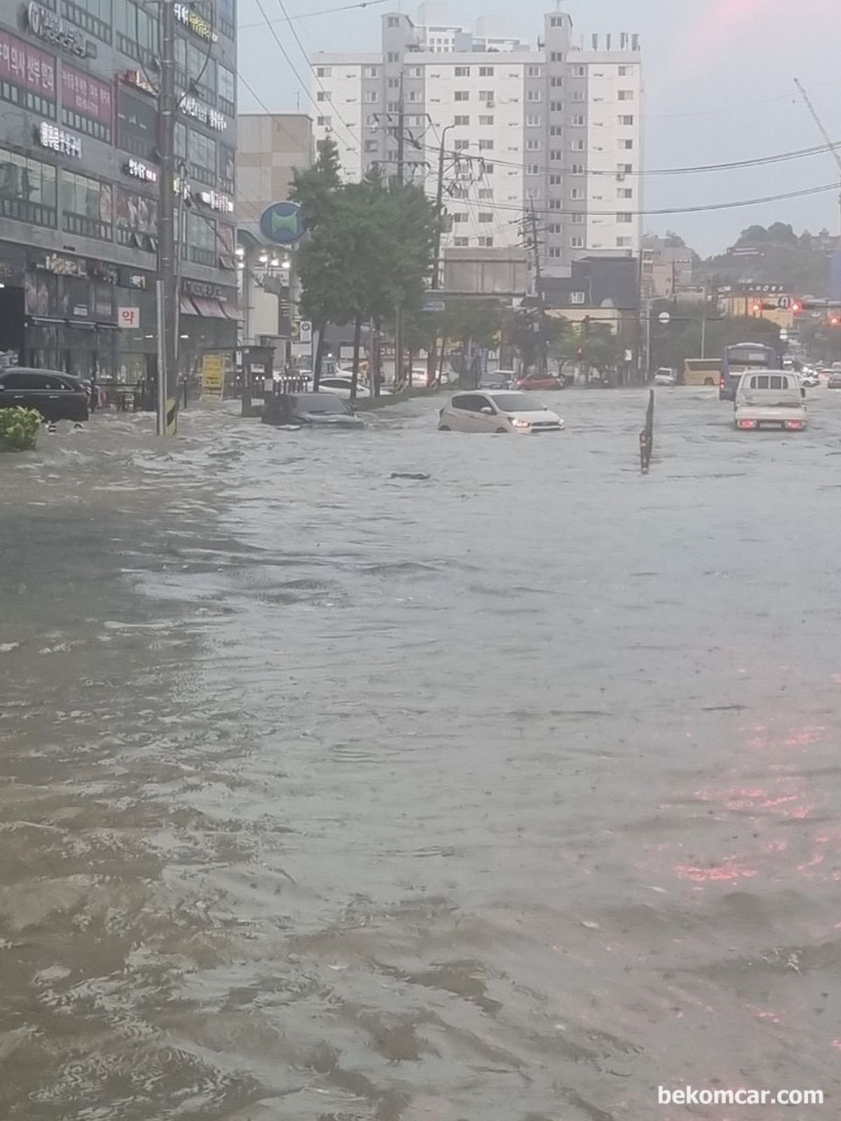 침수차량상태 파악 및 관리하기, 폭우로 침수차량으로 의심되면 정비사에게 의뢰하여 점검을 하도록한다.  사진: 혼다어코드동호회,  https://cafe.naver.com/hondaacord|베콤카 (bekomcar.com)