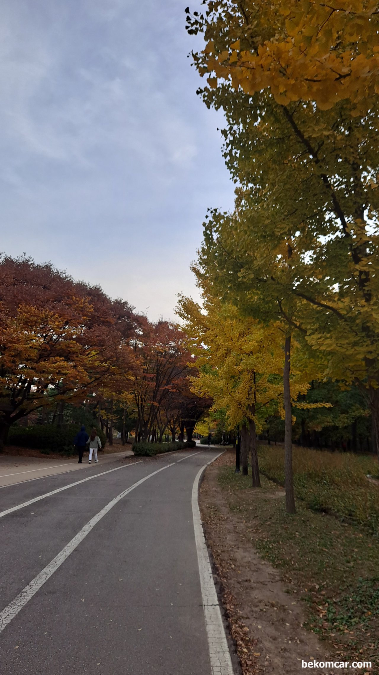 일산호수공원 산책길이다. 오늘도 달린다., 일산호수 공원의 산책길이다. 가을이다. 진짜 가을이다.|베콤카 차량정밀진단