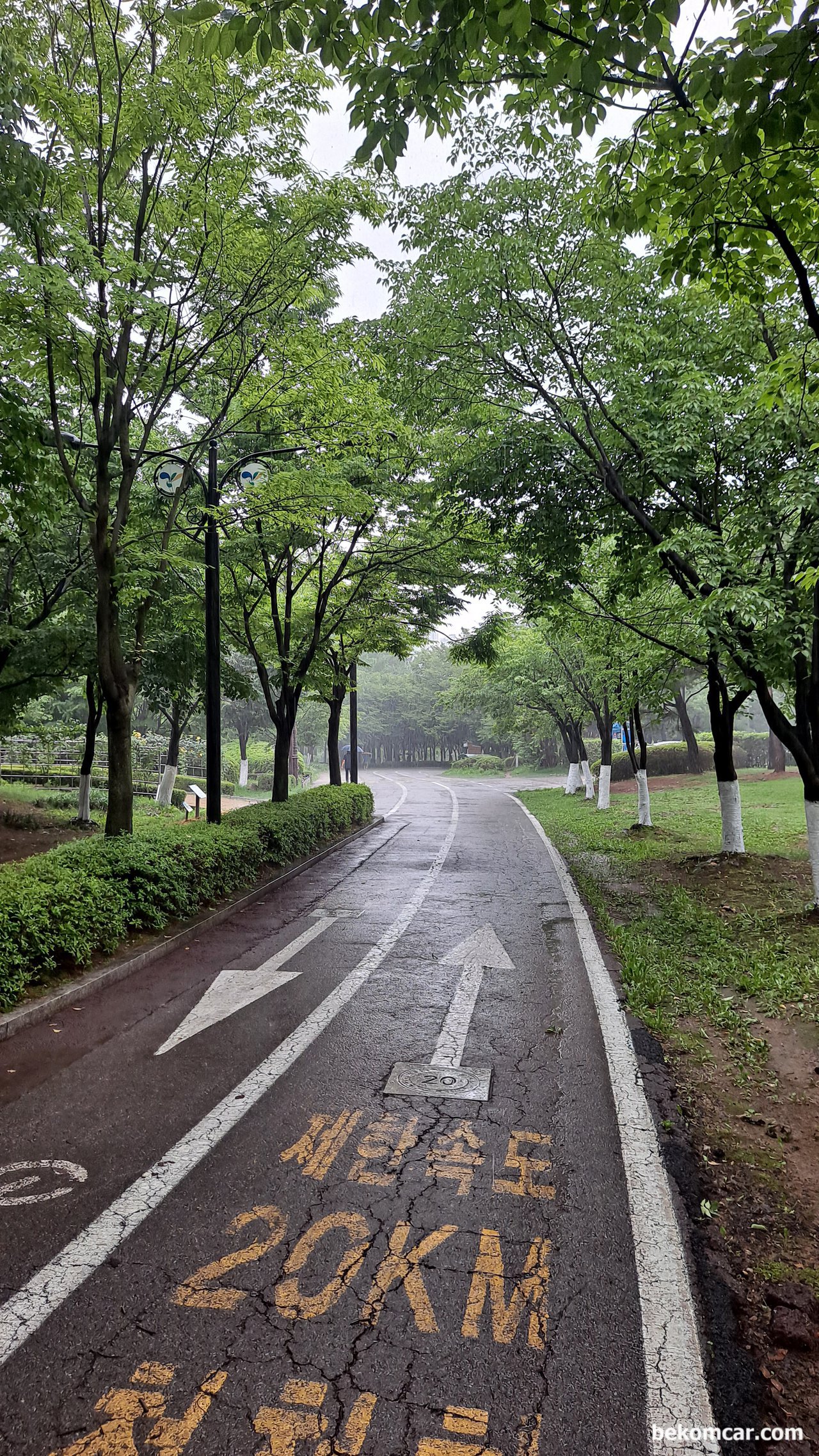 사람과 차량은 많은 면에서 매우 닮은점이 많은듯 하다, 일산 호수공원의 산책길이다. 참 좋은 공원이고 항상 기분이 좋아지는 공원이다.|بيكومكار (bekomcar)
