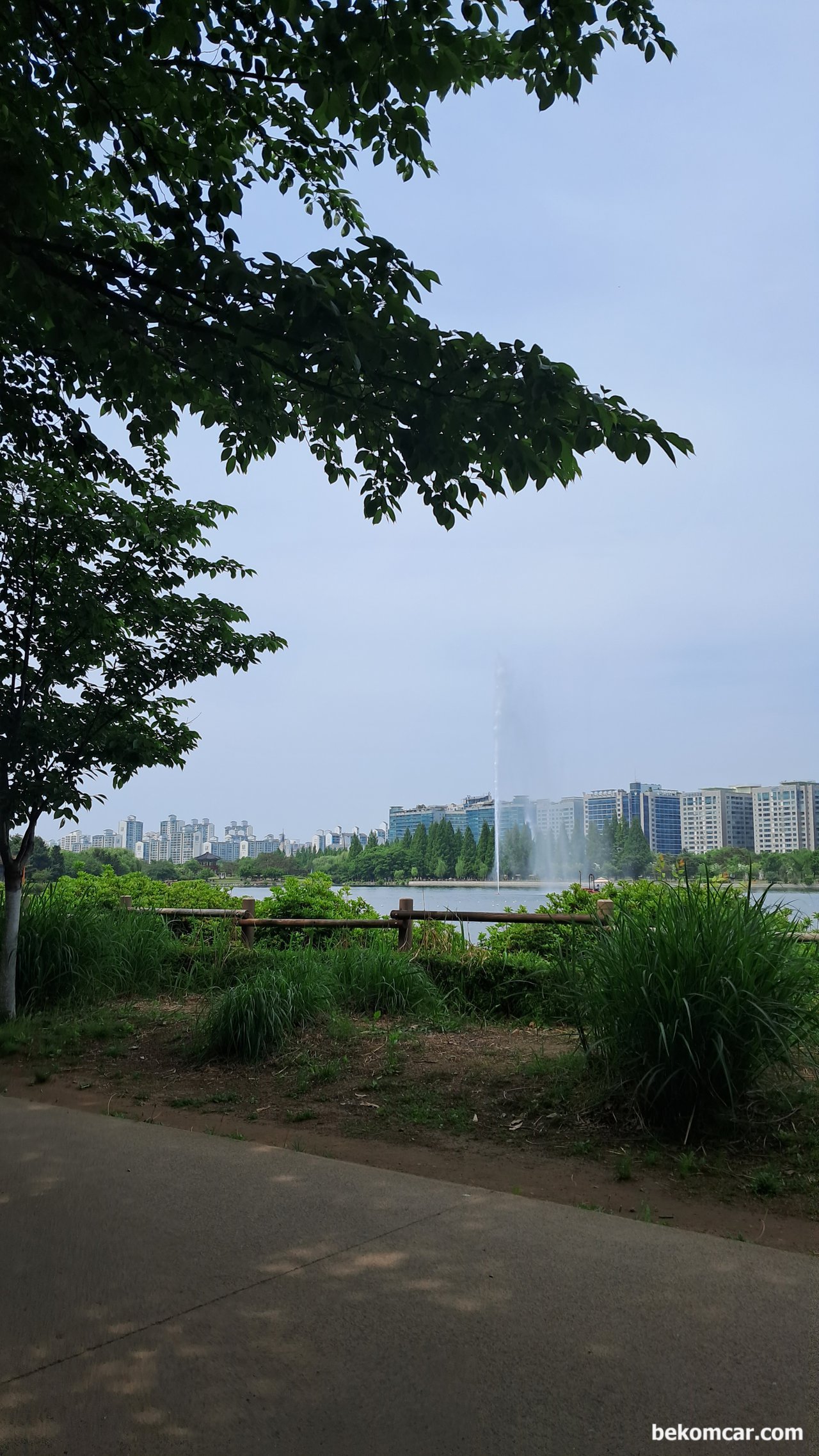 2023 어느 봄날의 일산호수공원 보라색 꽃, 호수공원의 중앙에 있는 분수대 이다.이제 일산의 봄을 만끽하는 시기이다.|ベコムカー (bekomcar)