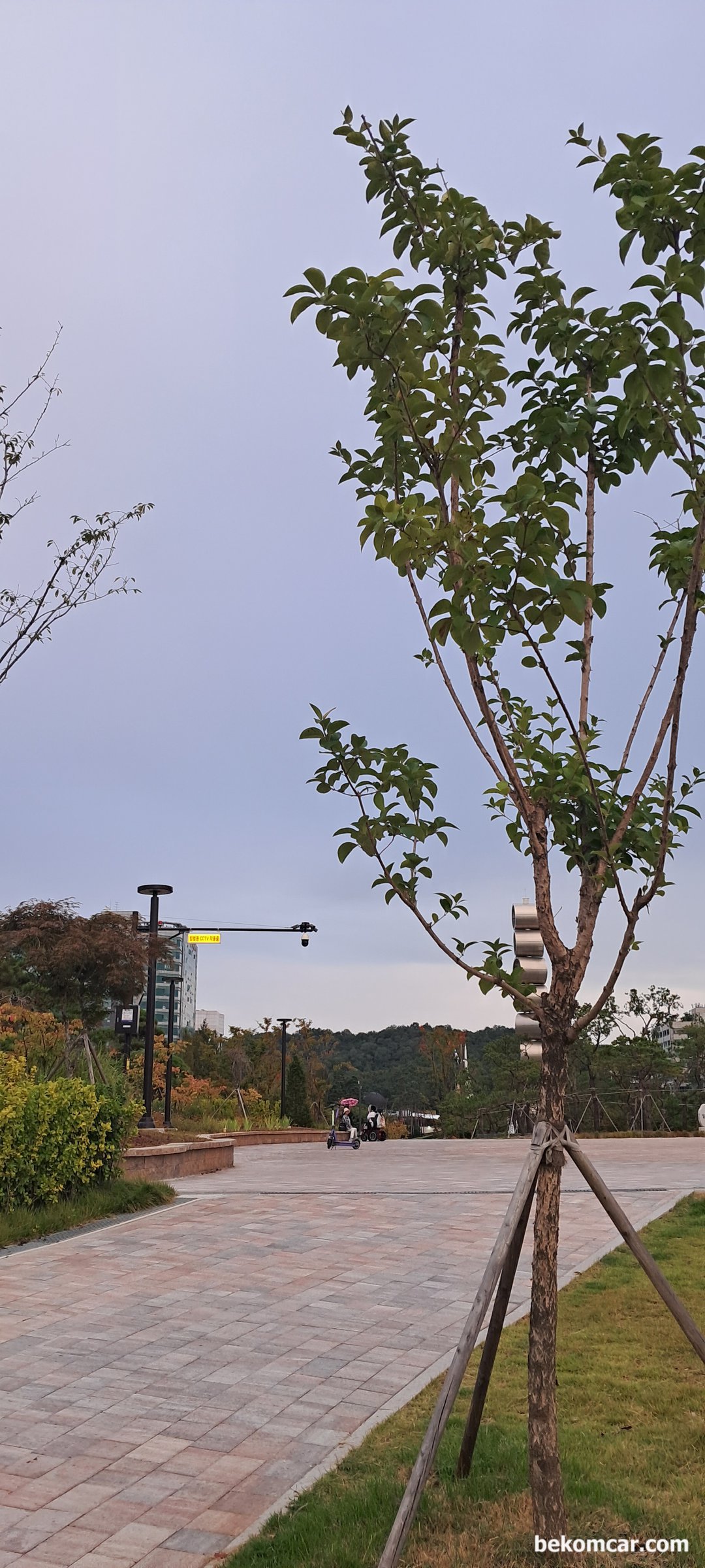 어느 가을 날 일산 호수공원 모습, 얼마전에 바꾼 일산 호수공원으로 가는 육교옆 공원다리이다.|بيكومكار (bekomcar)