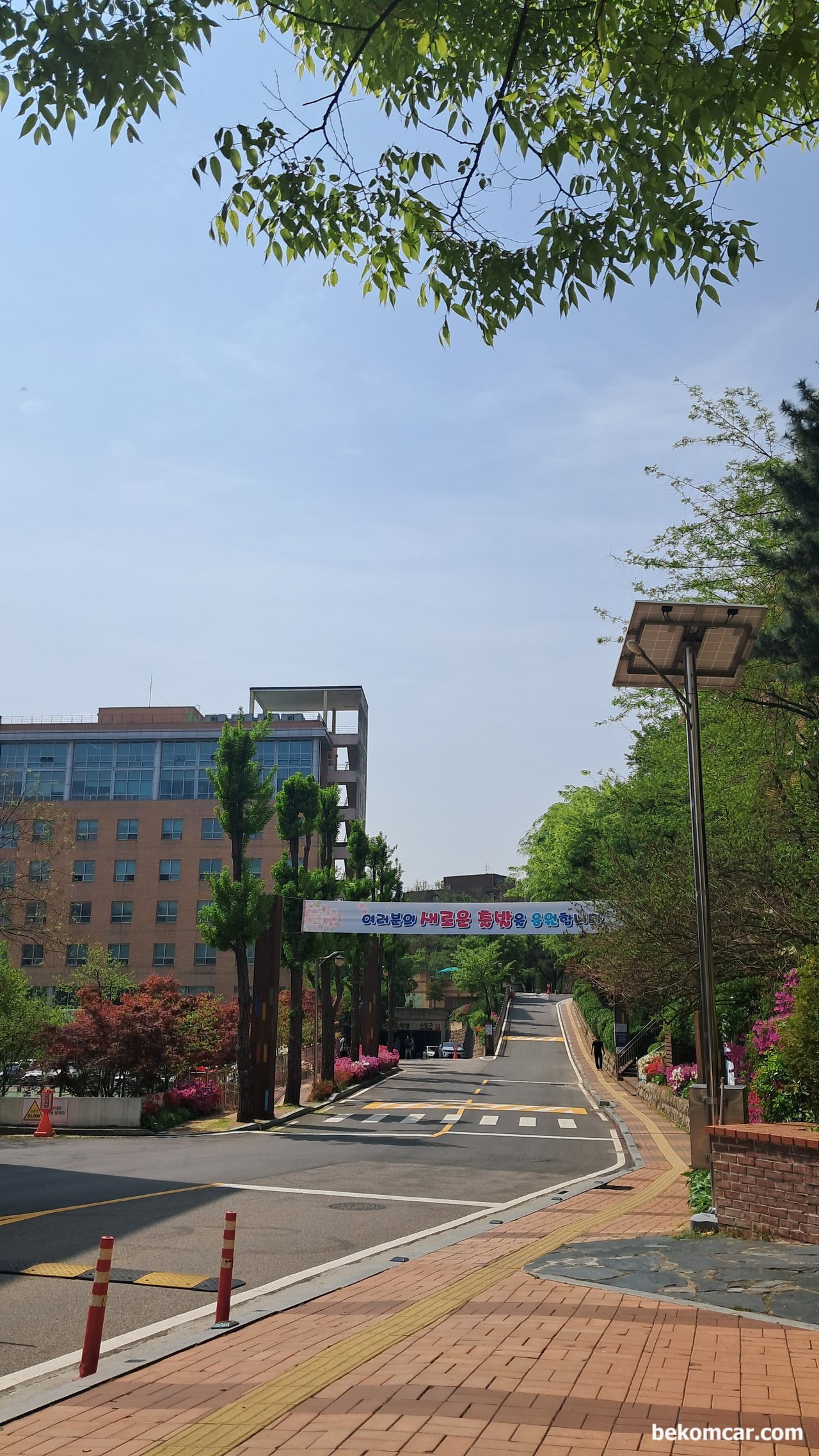 2025년 일산 과 이태원 봄 날의 꽃, 서울 이태원에 있는 정수폴리텍 대학 모습이다. 오늘 2025.4.24일 산기실기 장소이다.|贝科姆汽车 (bekomcar)