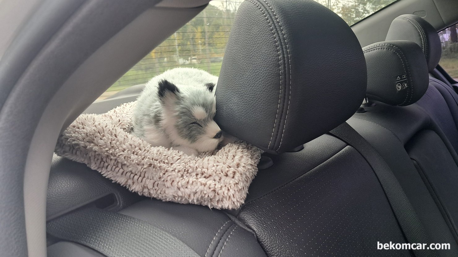 어코드 9세대 중고차 건강검진 결과, 엔진상태 매우 좋다, 혼다 어코드 9세대 점검 차량에 있는 이 친구는 항상 반겨하는 친구이다. 애교 스럽게 귀엽고 편안함 을 선사해준다. 항상 안부를 전하고 사진으로 기록해 둔다.|بيكومكار  (bekomcar)