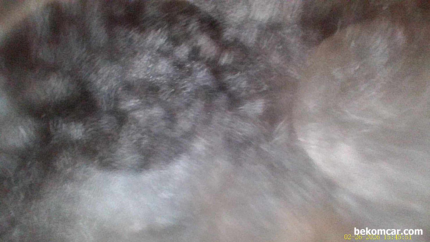 혼다 어코드 10세대 2.0T 간헐적 시동지연 내시경검사 결과 기록, #4번 실린더 밸브쪽 검사시 갑자기 눈 바람이 불고 있는 상태가 확인된다. 진짜로 눈 바람 같다. 실린더 내시경 검사 차량은 혼다 어코드 10세대 2.0T 약 4만키로 주행했다.|베콤카 차량정밀진단